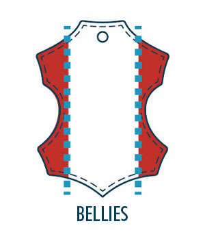 Bellies